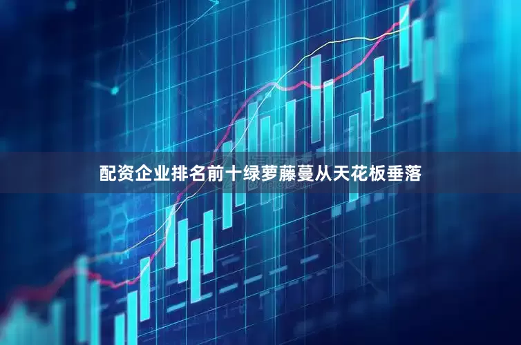 配资企业排名前十绿萝藤蔓从天花板垂落