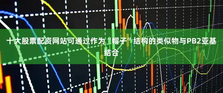 十大股票配资网站可通过作为“帽子”结构的类似物与PB2亚基结合