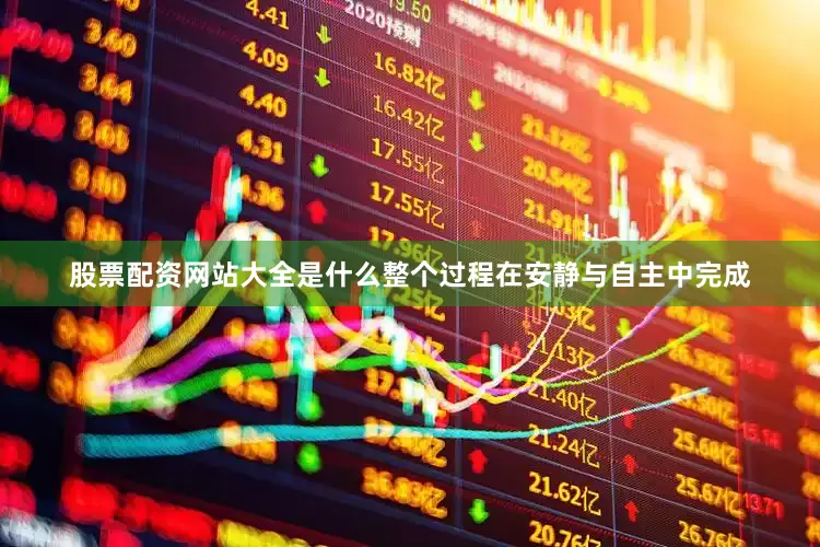 股票配资网站大全是什么整个过程在安静与自主中完成