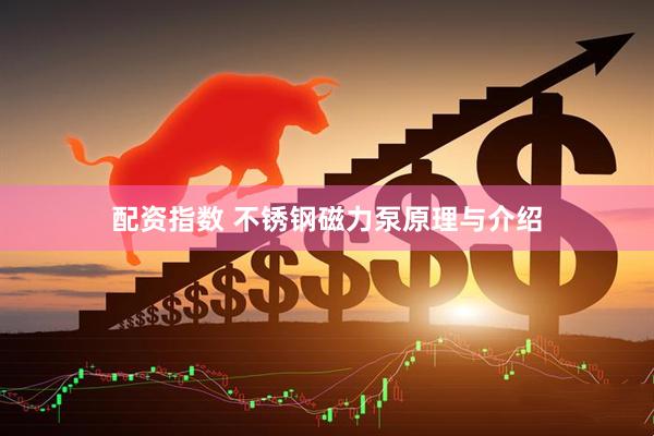 配资指数 不锈钢磁力泵原理与介绍